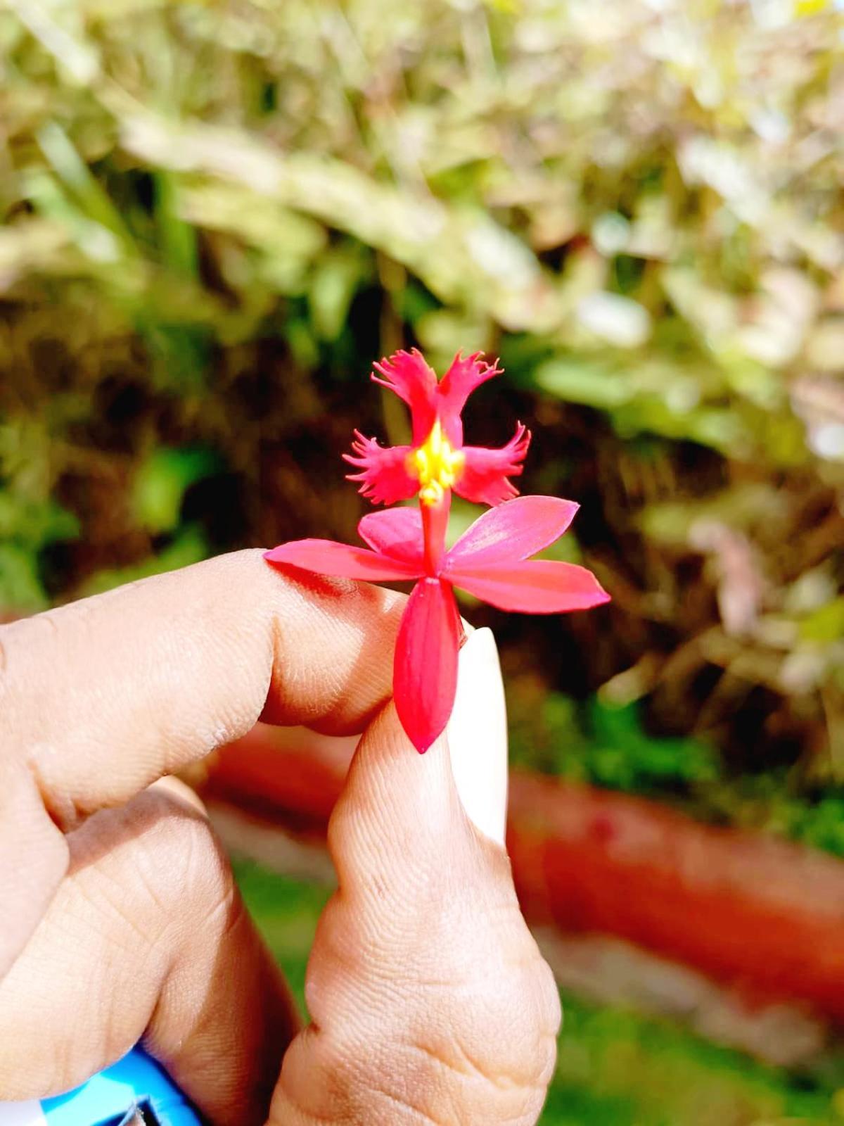 Kodai Riya Paradise Kodaikanal Kültér fotó